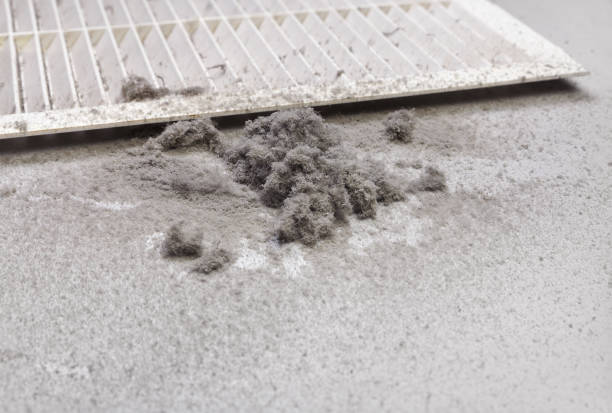 Best HVAC Duct Inspection Services  in Moweaqua, IL