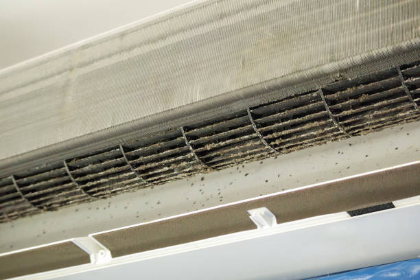 Best Ventilation Cleaning Services  in Moweaqua, IL
