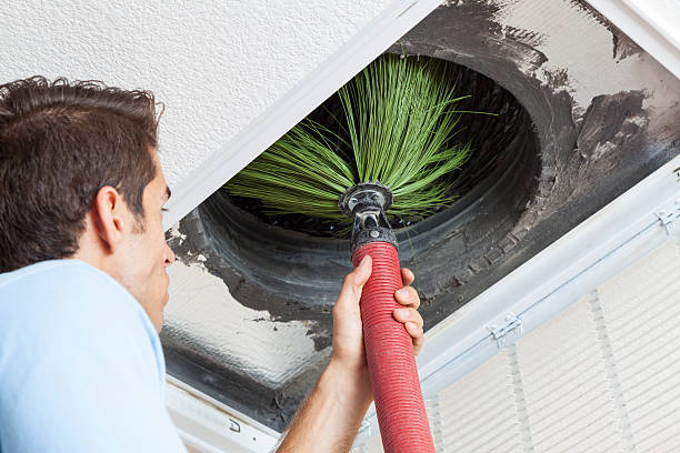 Best Air Duct Mold Removal  in Moweaqua, IL